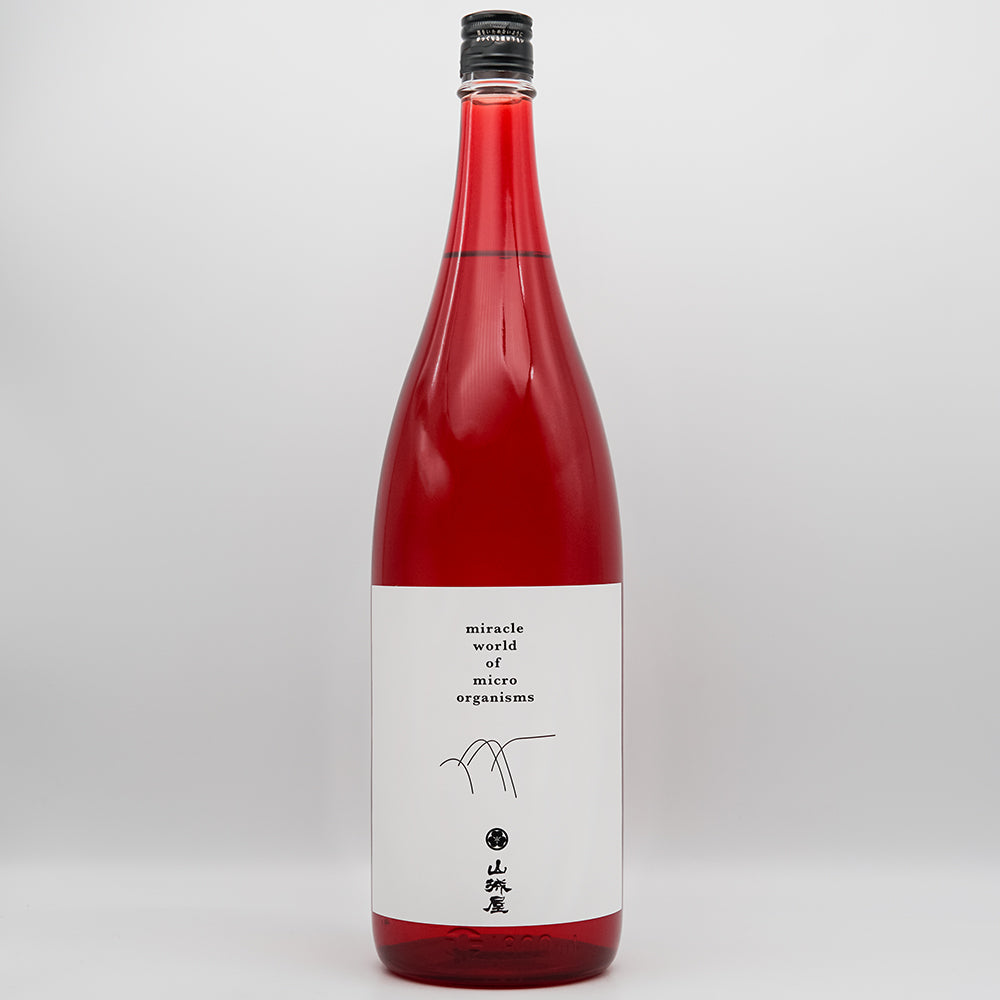 DSC01025.jpg?v=1725429888