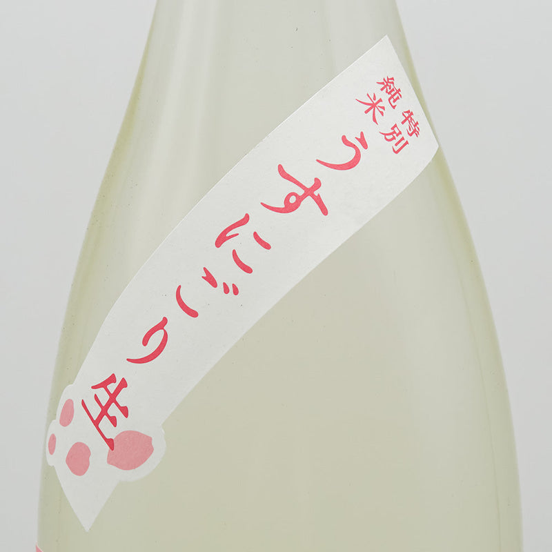 賀茂金秀(かもきんしゅう) 桜吹雪 特別純米 うすにごり生 720ml/1800ml【クール便推奨】