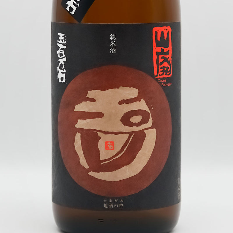 玉川(たまがわ) 夏越し常温熟成 山廃純米無濾過生原酒 五百万石のラベル
