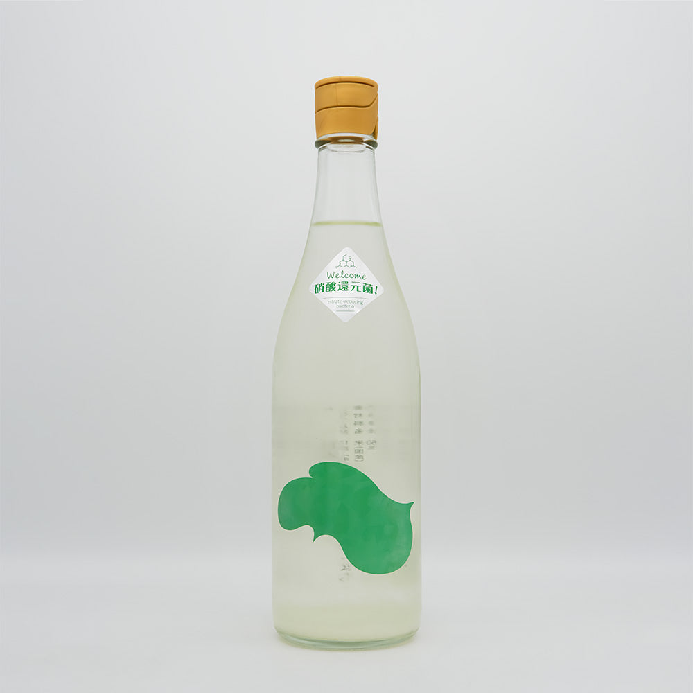 DSC07549.jpg?v=1751087129