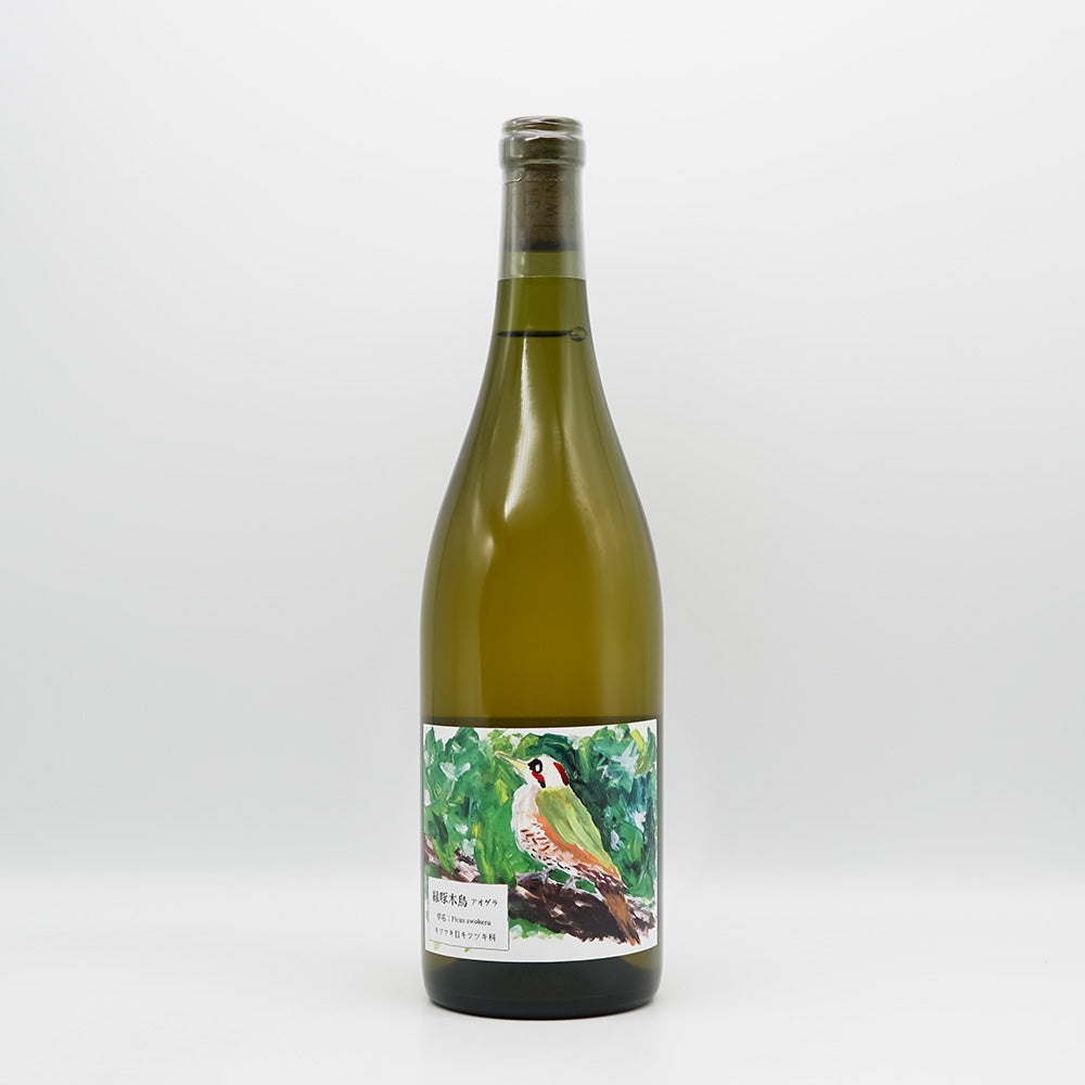 DSC08466.jpg?v=1754898082