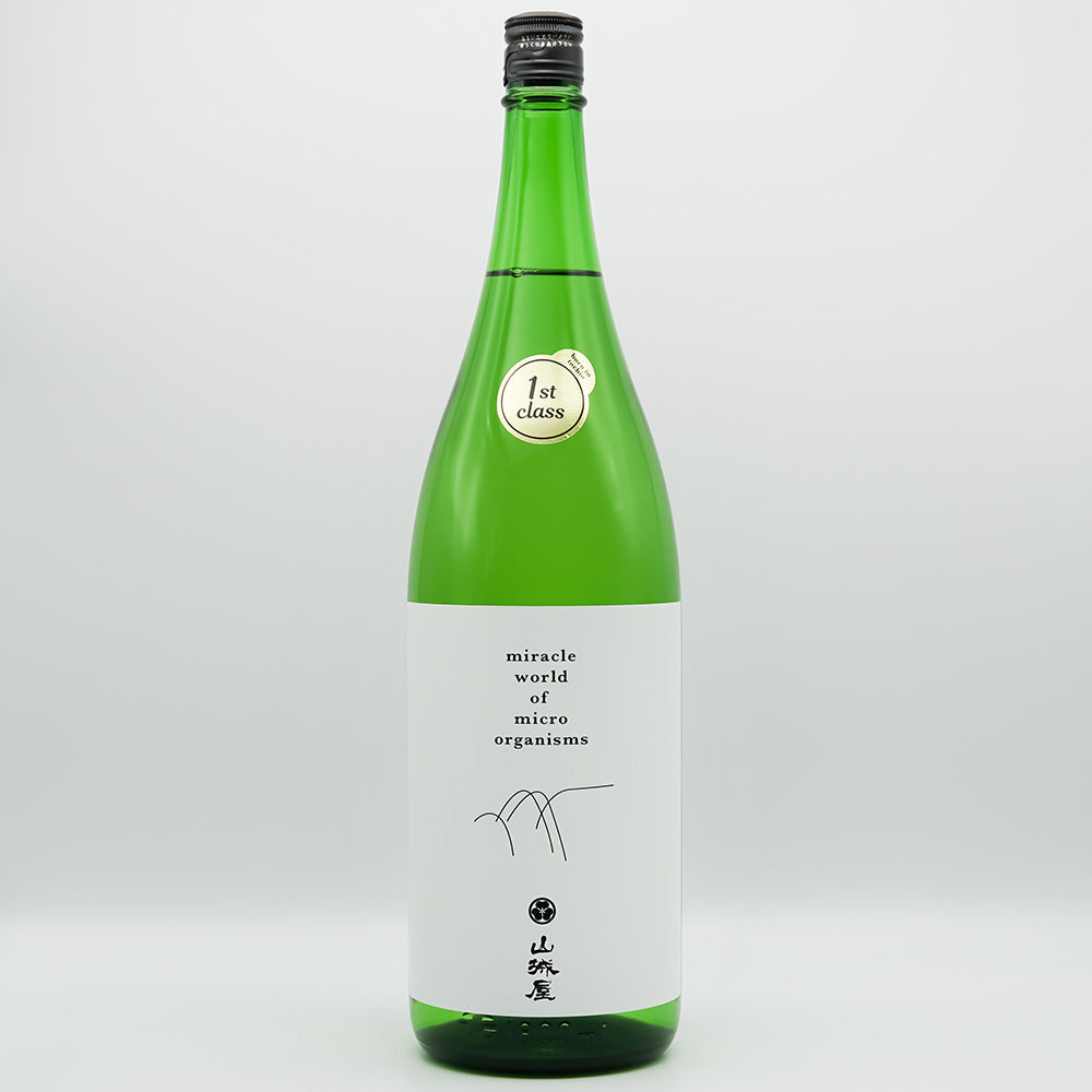 DSC05528_81cdbbf7-7538-4d75-