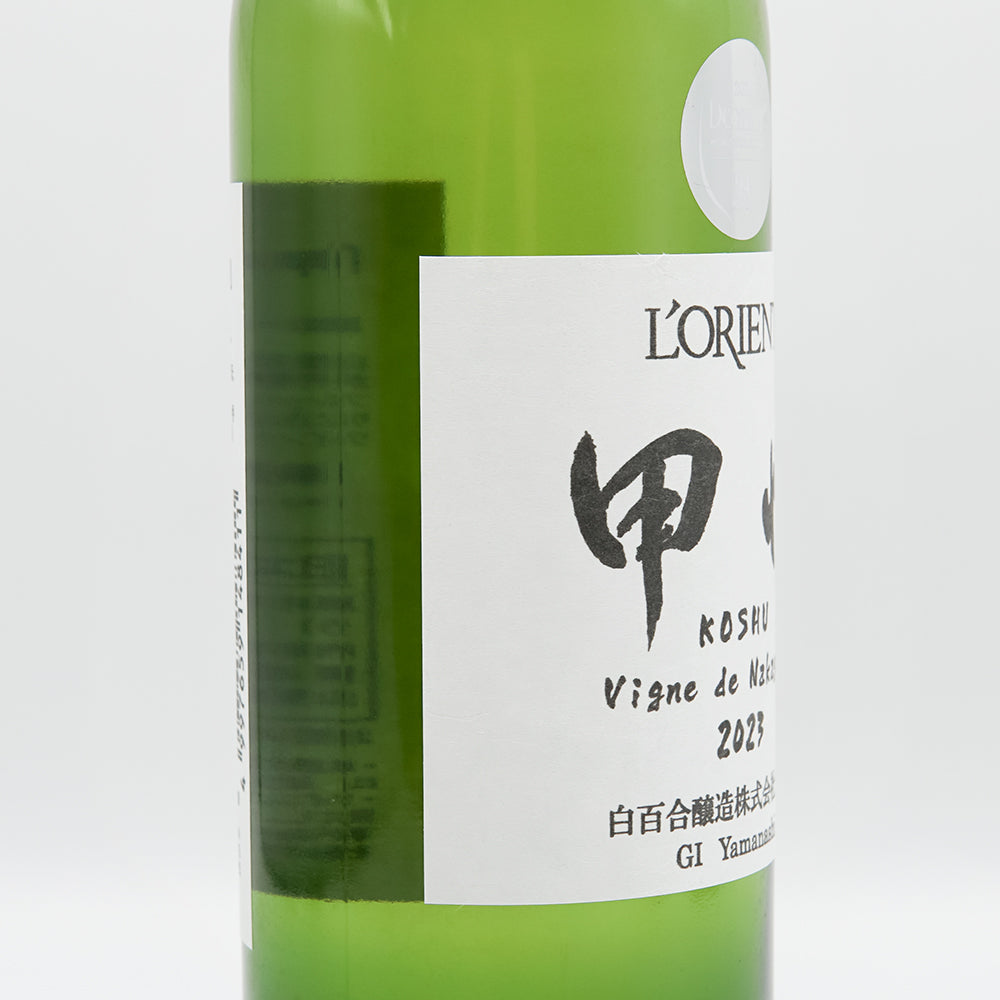 ロリアン 甲州 Vigne de Nakagawa 2024｜ワイン専門店 - いそべ酒店