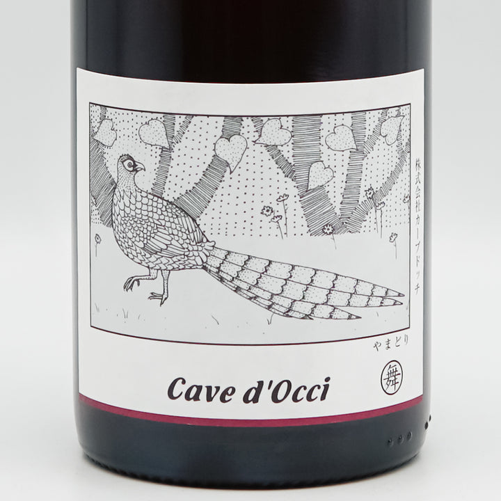 DSC00918_2_720x.jpg?v=1724984488