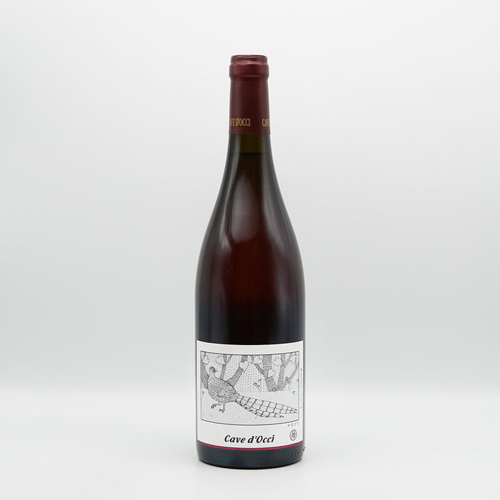 DSC00918_720x.jpg?v=1724984487