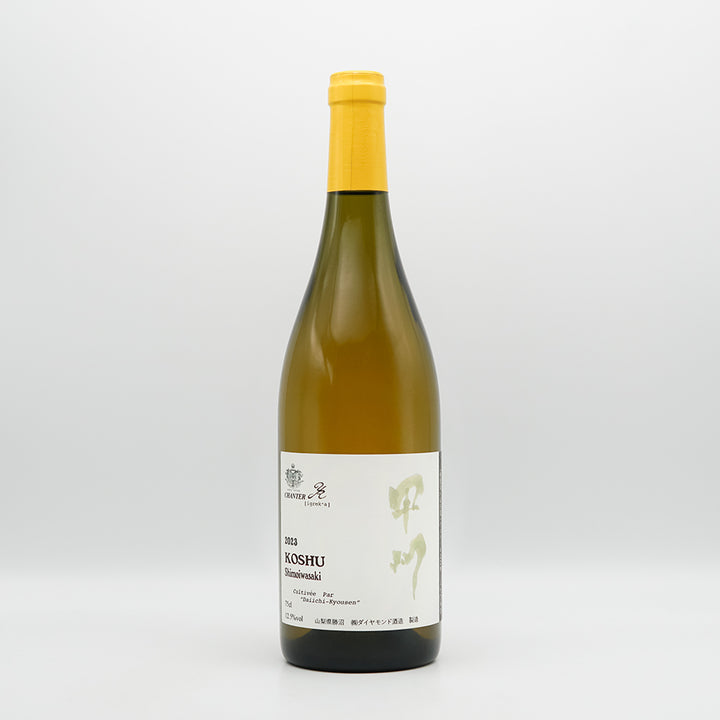 シャンテY,A KOSHU Shimoiwasaki 2023の全体像