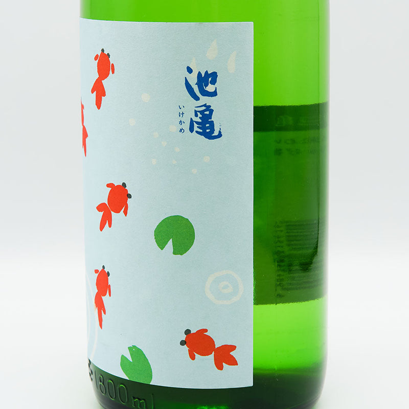 池亀(いけかめ) さわやか 夏の純米酒 720ml/1800ml
