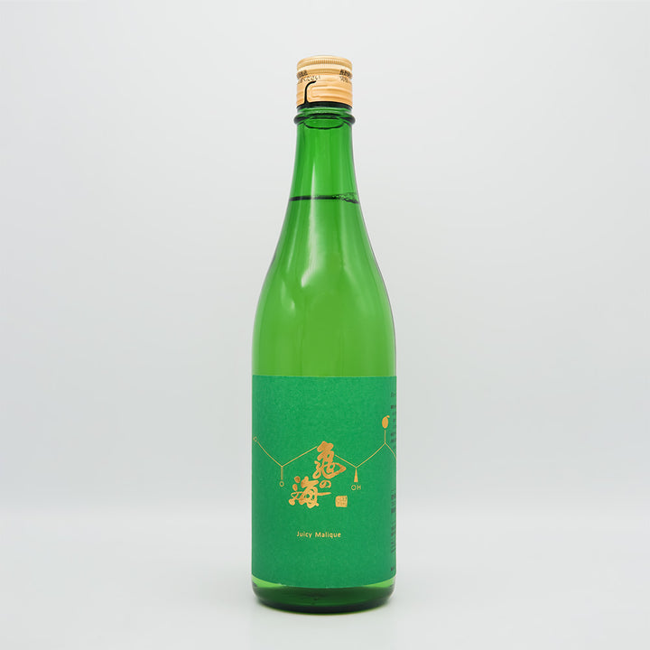 亀の海(かめのうみ) JUICY MALIQUE(ジューシーマリック)の全体像