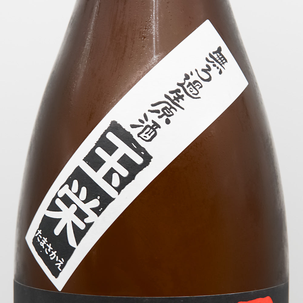 Japanese Sake Online Store] Tamagawa Yamahai Junmai Tamae