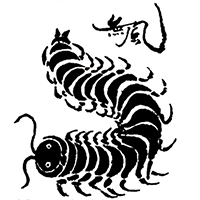 無風(玉泉堂酒造)のロゴ画像