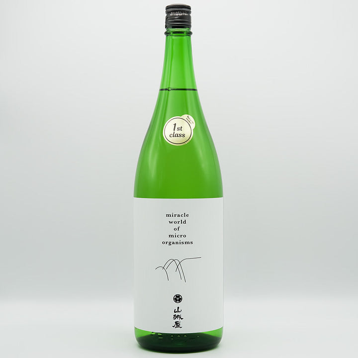 DSC05528_81cdbbf7-7538-4d75-