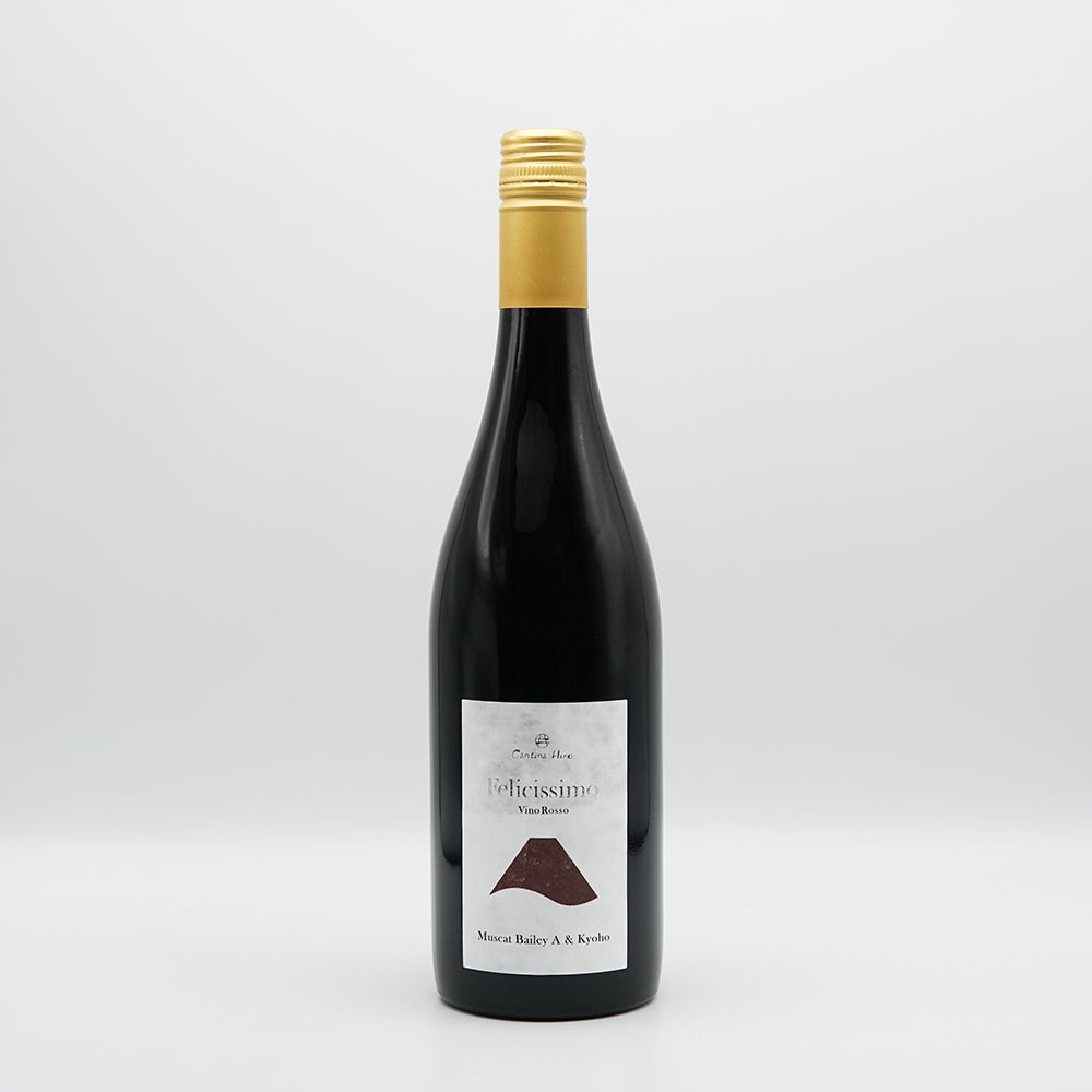 Cantina Hiro(カンティーナ ヒロ) Felicissimo Rosso Muscat Bailey A & Kyoho NVの全体像