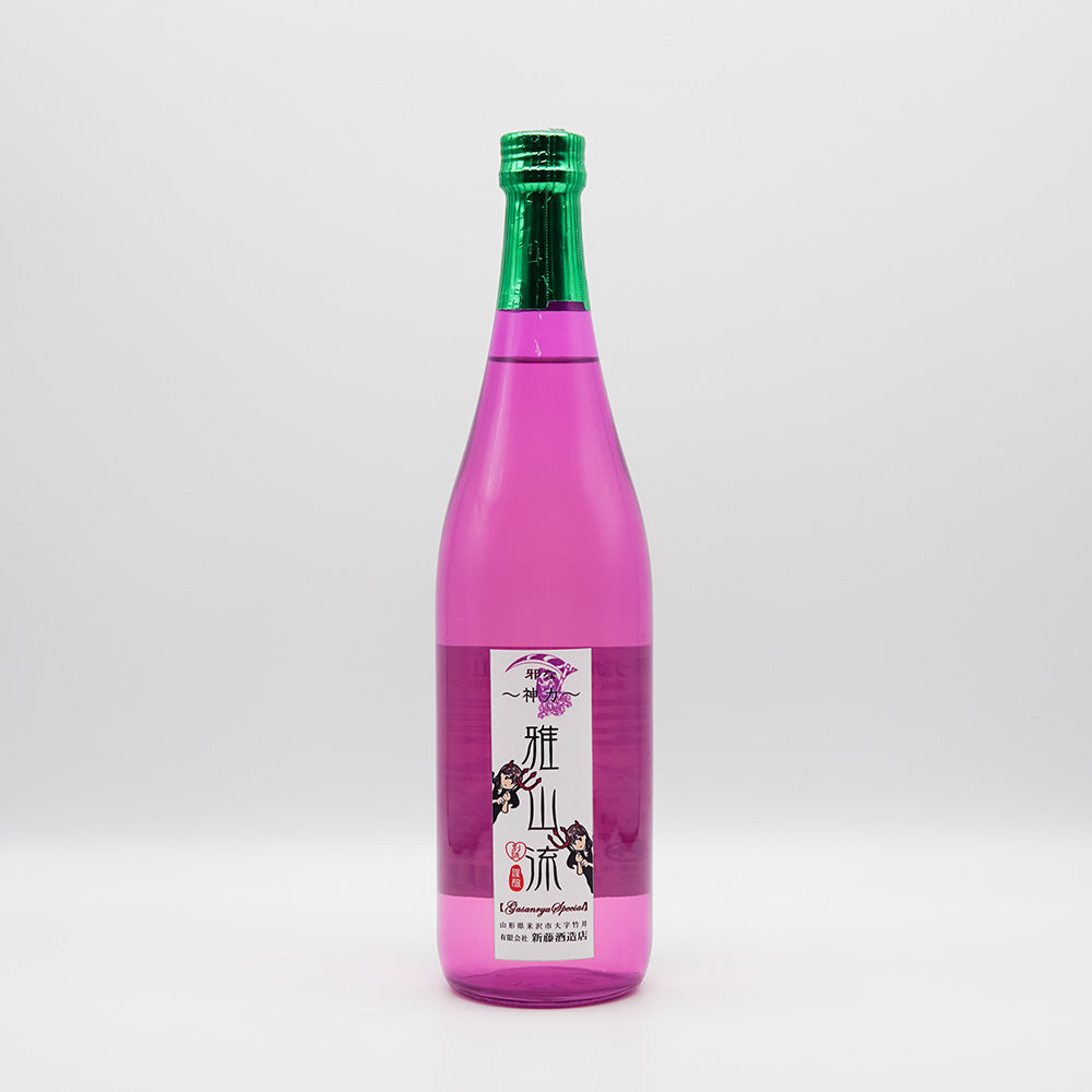 別誂・雅山流(がさんりゅう) 純米酒 邪な神力 720ml