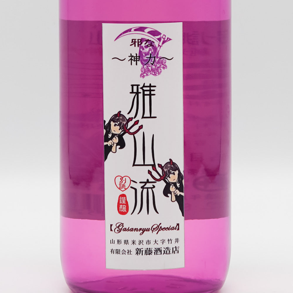 別誂・雅山流(がさんりゅう) 純米酒 邪な神力 720ml