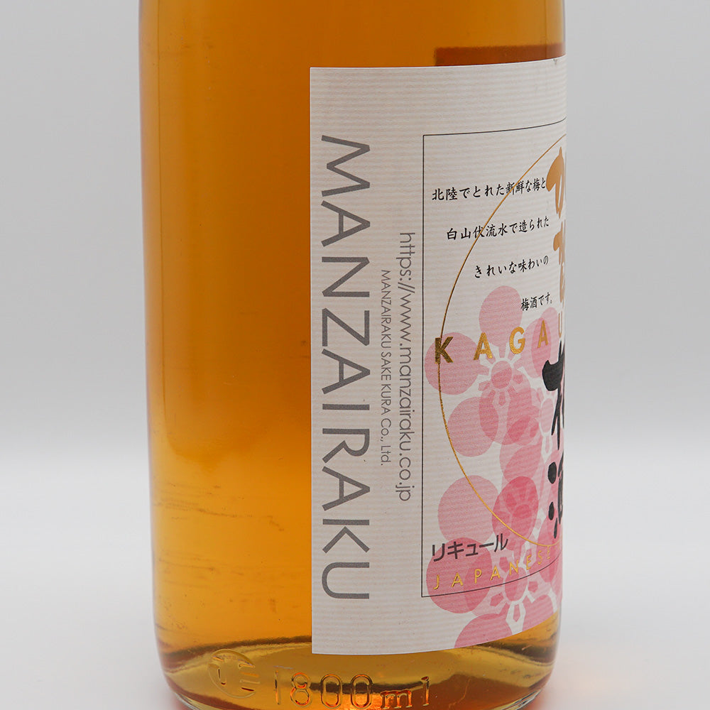 加賀梅酒 720ml/1800ml｜地酒専門店 - いそべ酒店